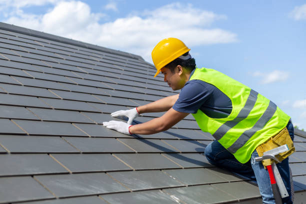 Best Roof Repair Services  in Lake Holiday, IL