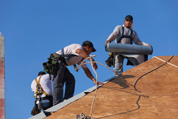 Best Flat Roof Repair Services  in Lake Holiday, IL