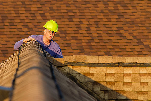 Best Storm Damage Roof Repair  in Lake Holiday, IL