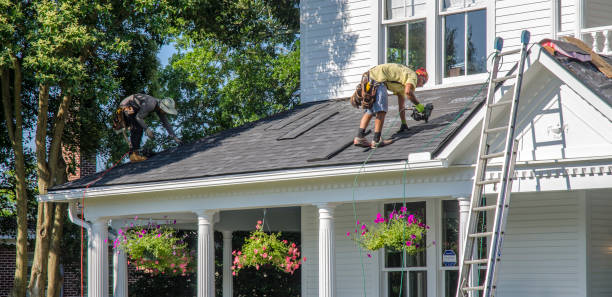 Roof Gutter Cleaning in Lake Holiday, IL